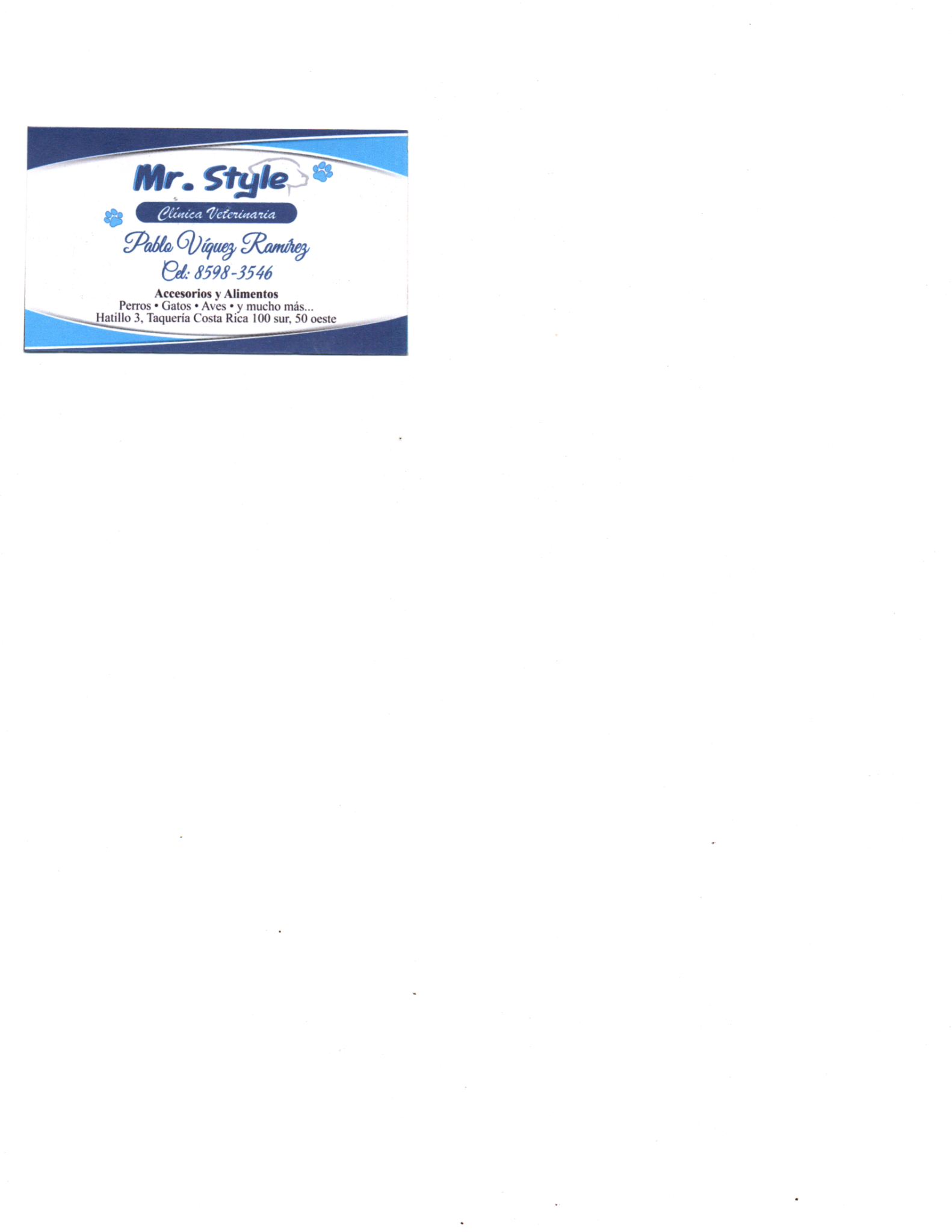 Identidad Mr Style
